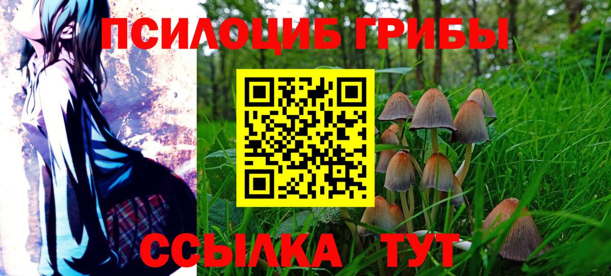 Псилоцибиновые грибы Cubensis  Галлюциногенные грибы прущие грибы  Вход с VPN  Избербаш 